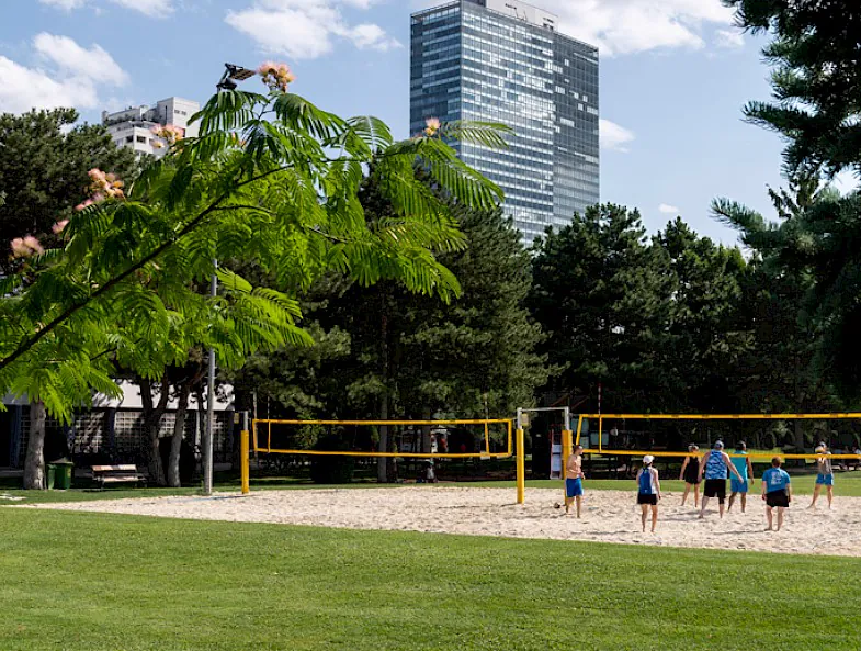 Beachvolleyball Turniersand
