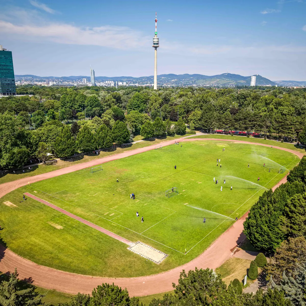 Rasenfeld mit Laufbahn aus der Luft